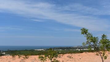 A desert landscape with sparse vegetation and a distant view of the ocean.
