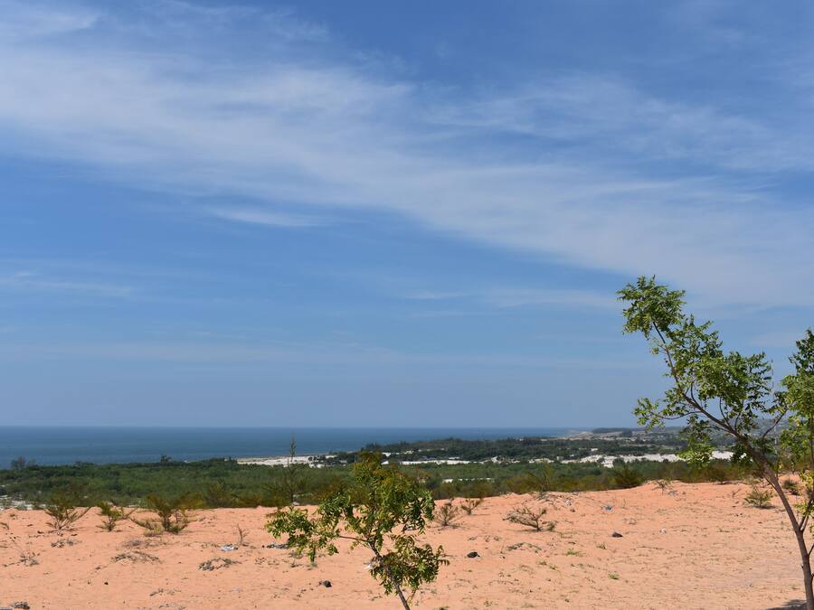 A desert landscape with sparse vegetation and a distant view of the ocean.