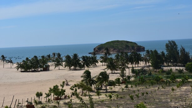 Une plage bordée de palmiers, une petite cabane et, au loin, un promontoire rocheux.