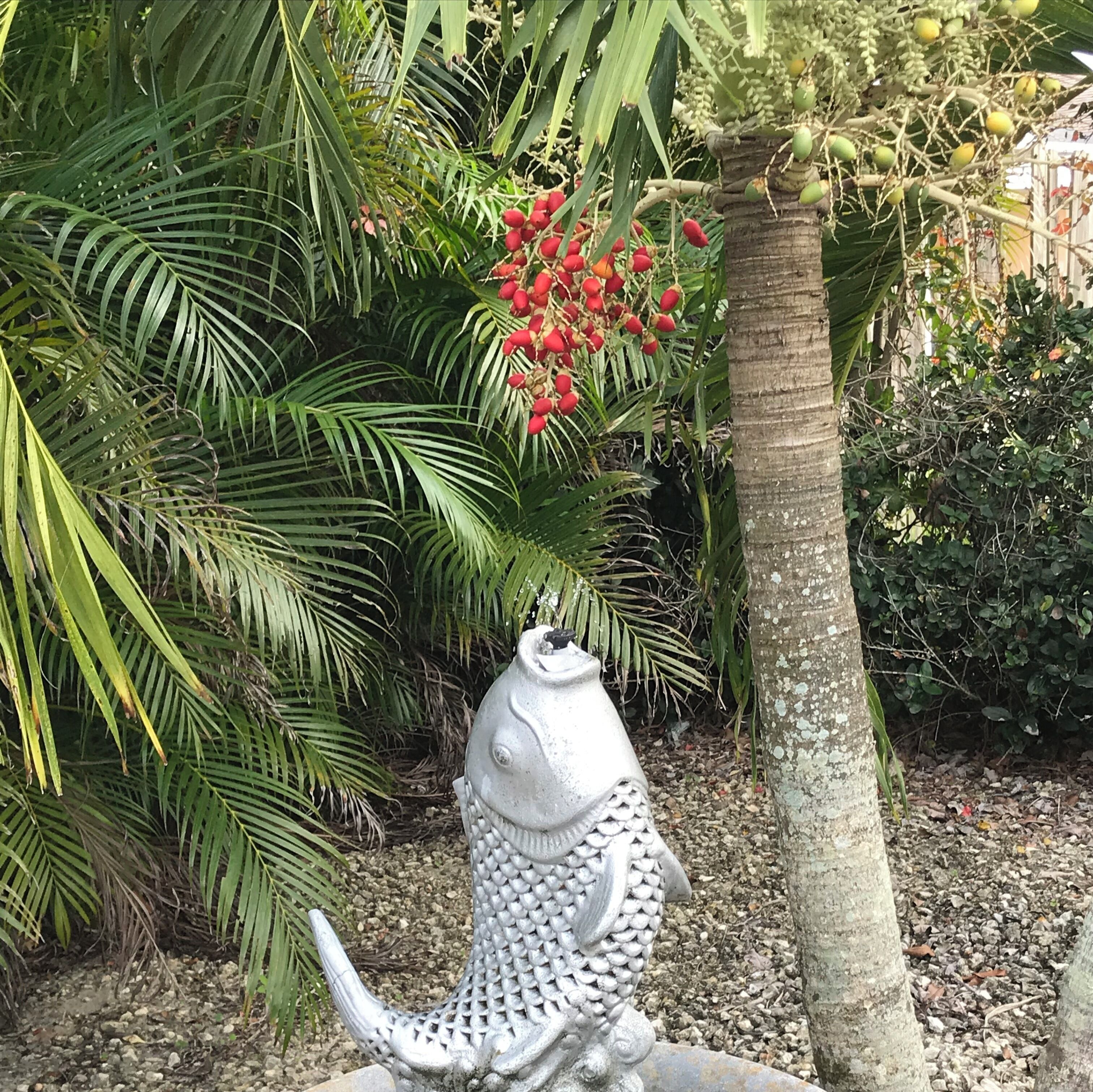 Una escultura de pez en un jardín con palmeras y bayas rojas.