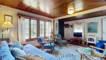 Télévision, cheminée, livres