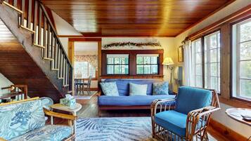 Télévision, cheminée, livres