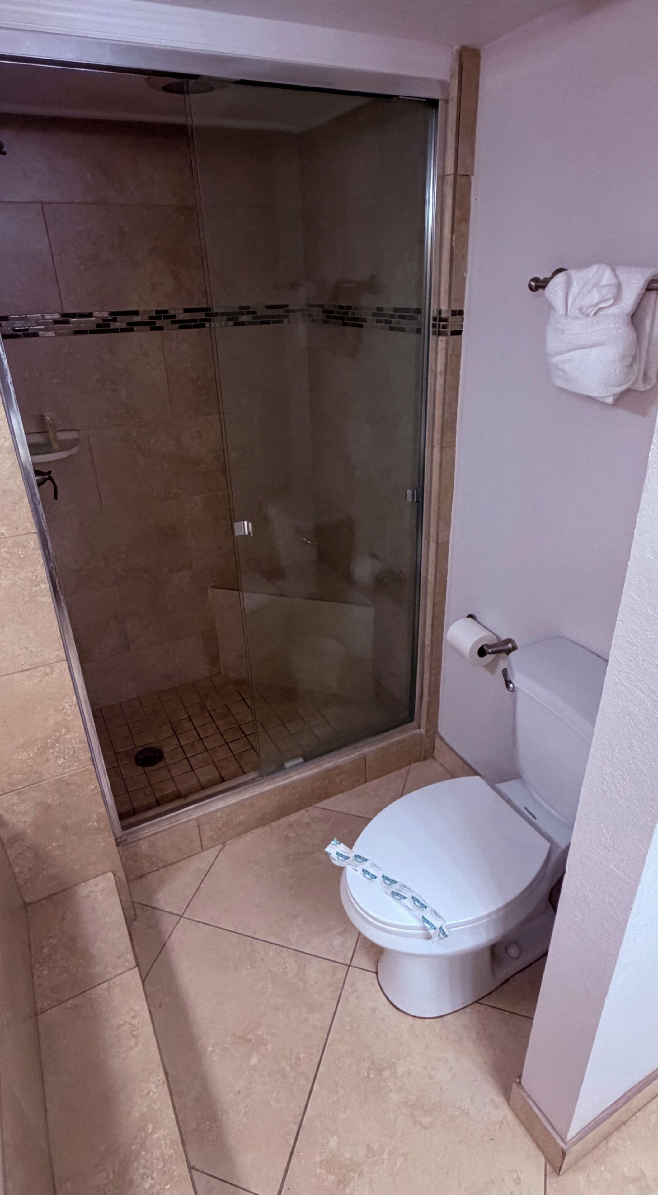 A bathroom with a glass-enclosed shower, a toilet, and a towel rack.