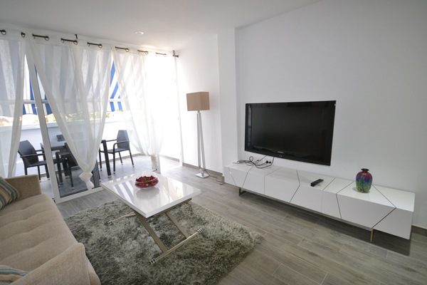 Televisión y chimenea