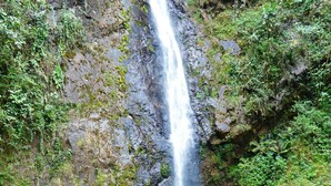Una cascada que se precipita en una poza rodeada de terreno rocoso y vegetación.