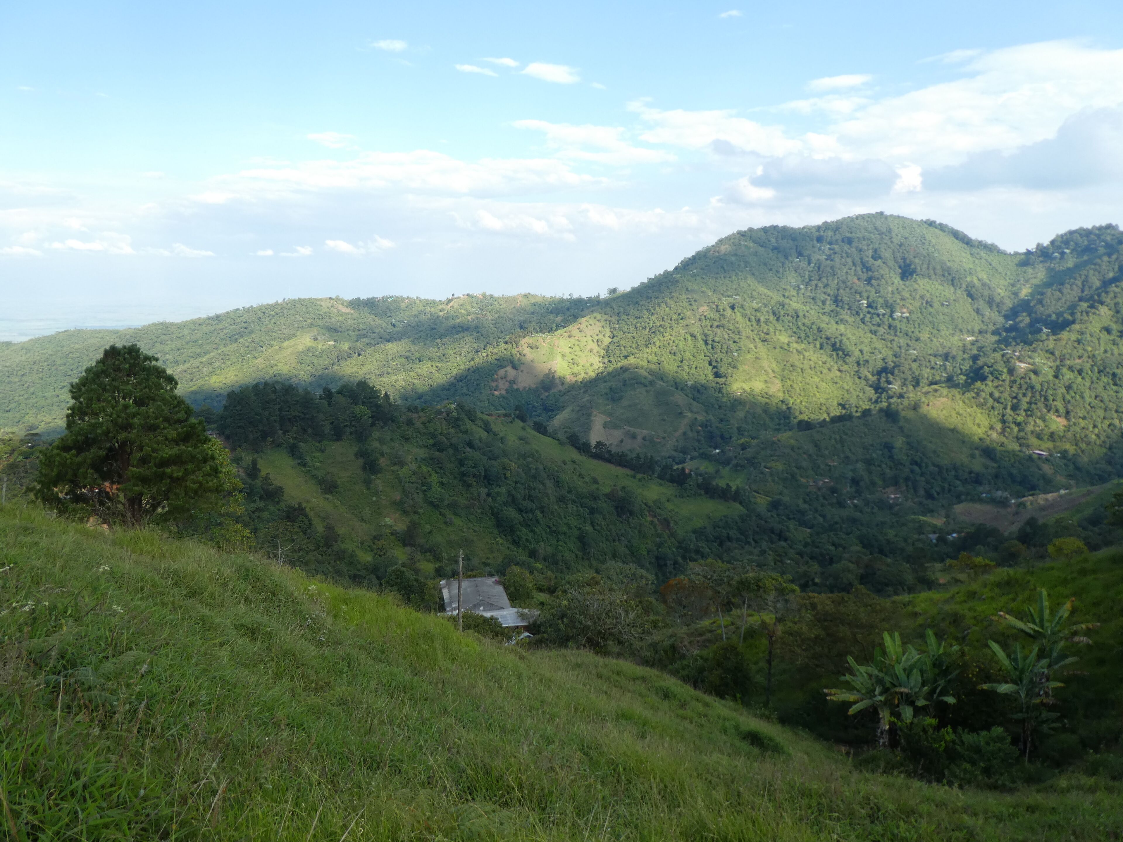 Panoramic-Doppelzimmer, 1 Doppelbett, Bergblick | Blick auf die Berge