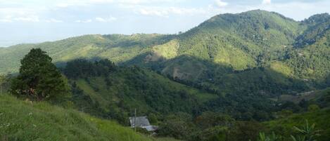 Panoramic-Doppelzimmer, 1 Doppelbett, Bergblick | Blick auf die Berge