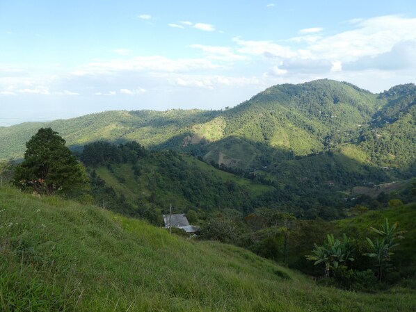 Panoramic Double Room, 1 Double Bed, Mountain View | Mountain view