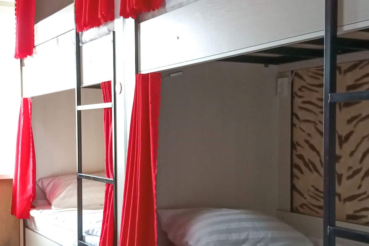 Habitación clásica, varias camas | Ropa de cama de alta calidad, escritorio, tabla de planchar con plancha
