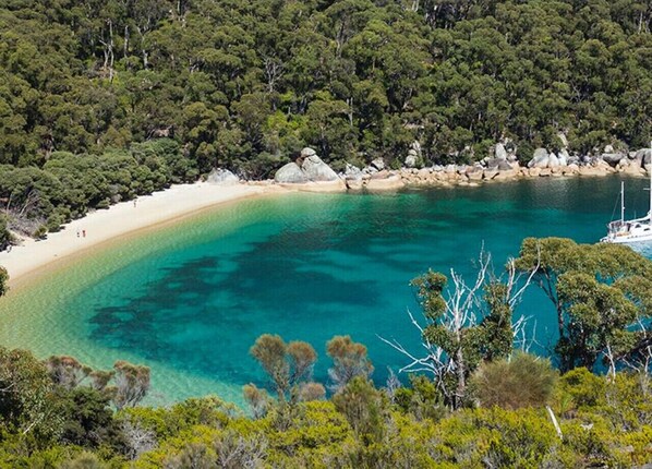 Beach nearby - Prom Coast 1~ Cosy beach life, stroll to the beach (Sandy Point)