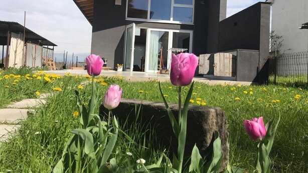 A modern two-story house with a large glass door entrance, surrounded by a garden with tulips and yellow flowers. - Villino Nacci, in the heart of Tuscany. (San Miniato)