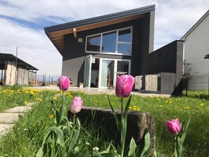 Une maison moderne à deux étages, dotée d’une grande porte d’entrée en verre et entourée d’un jardin où poussent des tulipes et des fleurs jaunes.
