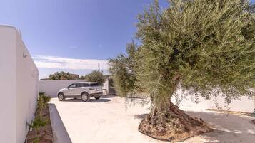 Terrein van de accommodatie