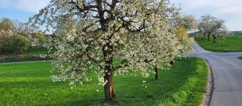 Double room with balcony - Gästehaus Grau
