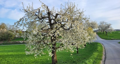 Double room with balcony - Gästehaus Grau