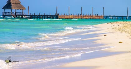 Downtown comfy, well stocked 1 bedroom condo in the heart of Isla Mujeres!