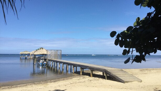 Ein Strand mit einer Holzstege, der zu einem Gebäude mit Reetdach führt.