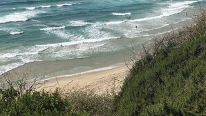 Una playa con olas, una orilla arenosa y algo de vegetación.