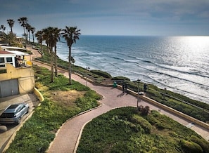 A coastal walkway with palm trees, a paved path, and a view of the ocean.