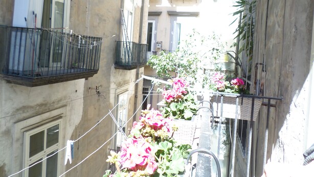Una calle urbana estrecha flanqueada por edificios, con balcones y barandales de metal y plantas en flor.