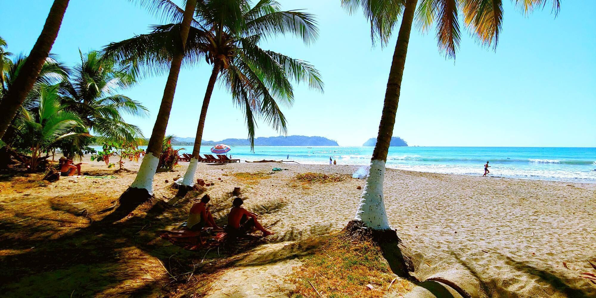 NEW! #1 Ocean Beaches Mountains Adventure in the Jungle