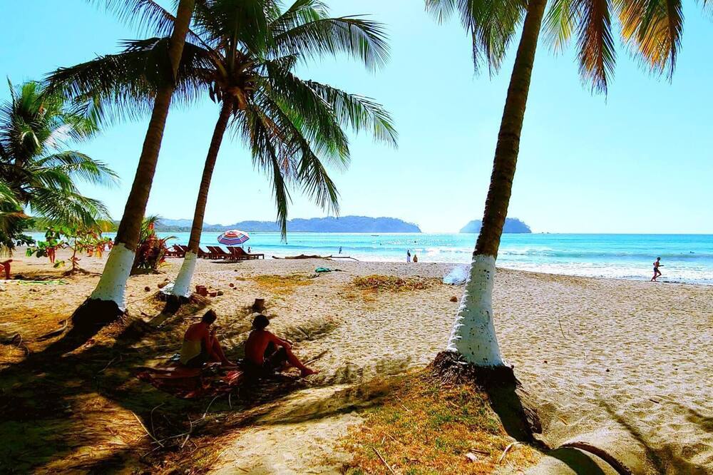 NEW! #1 Ocean Beaches Mountains Adventure in the Jungle