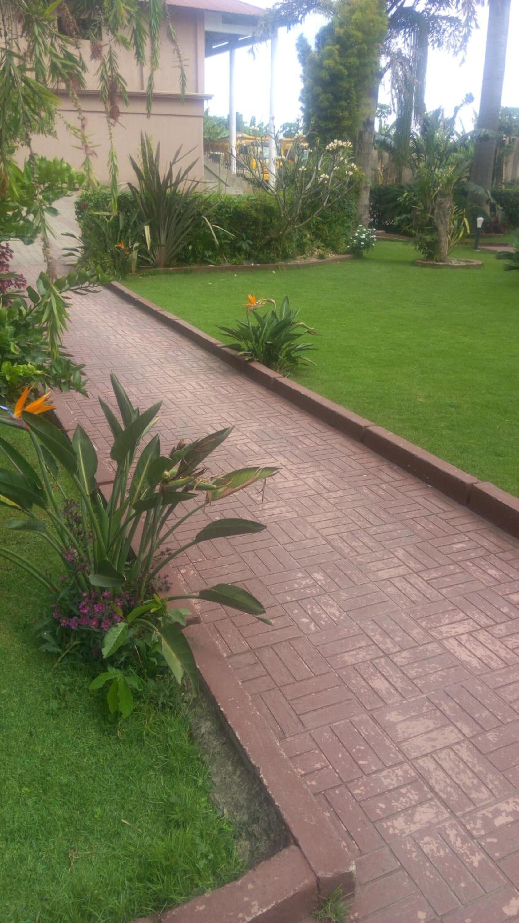 Un chemin pavé traverse un jardin bien entretenu, où l’on trouve différentes espèces de plantes, et un bâtiment se dessine à l’arrière-plan.