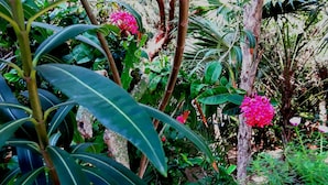 Unclassified image, 3 of 19, button - Casa Amor Del Sol (Tulum)