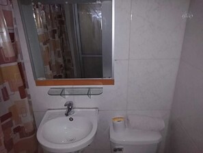Shower, rainfall showerhead, soap, toilet paper