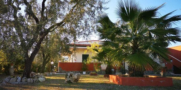Exterior