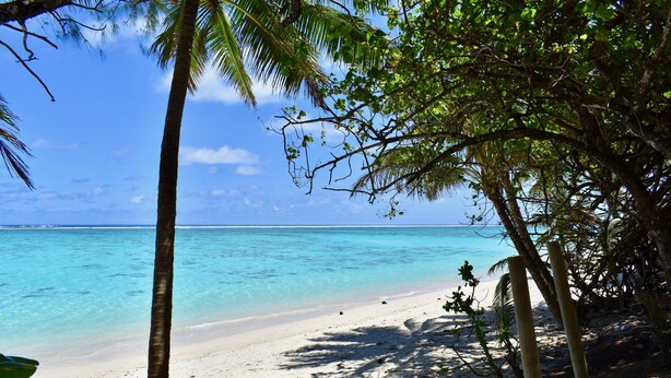 A beach with clear turquoise water and white sand, surrounded by palm trees and greenery. - Rarotonga Island Villa 1 (Papaaroa)
