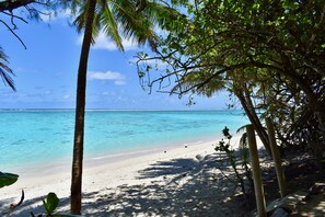 A beach with clear turquoise water and white sand, surrounded by palm trees and greenery.