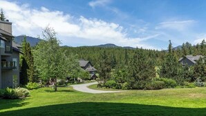 Ein Wohngebiet mit Häusern, umgeben von dichtem Wald und Bergen im Hintergrund.