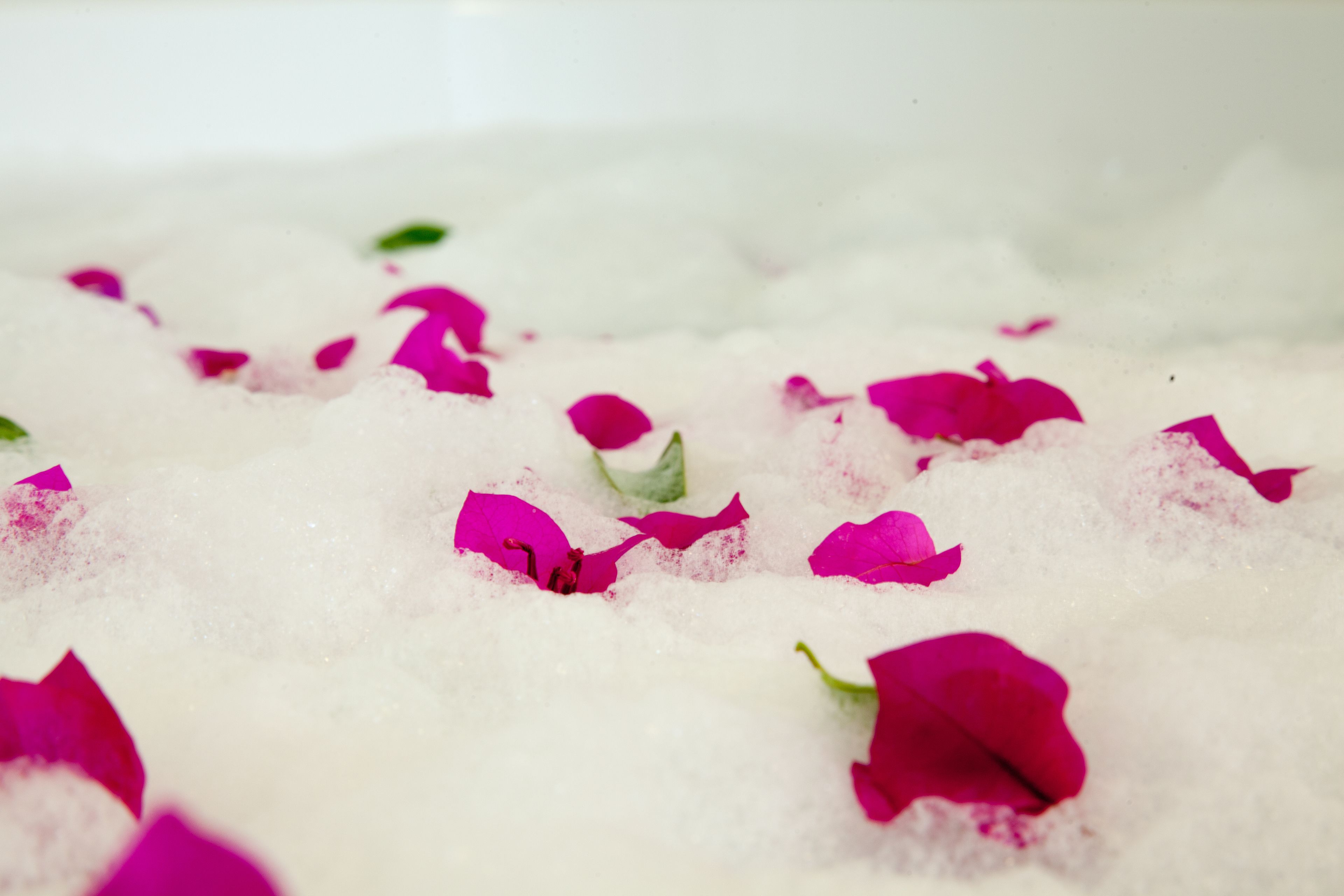 suite, jetted tub | jetted bathtub