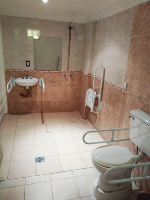 A bathroom with a sink, toilet, shower, and handrails. - Hotel Lua (Buenos Aires)