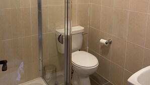 A bathroom with a glass shower enclosure, a toilet, and a sink. - Racecourse Lodge Apartment (Clifden)