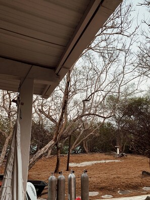 المنطقة المحيطة بالمنشأة