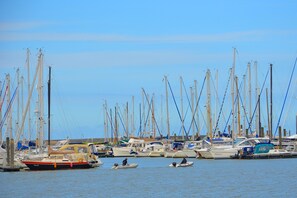 Marina - North Sea coast directly on the dike + natural beach (Hilgenriedersiel)