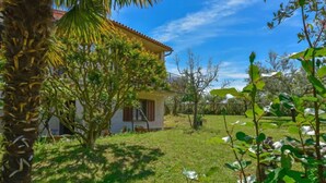 A house with a red-tiled roof, surrounded by a well-maintained lawn and various trees. - Apartment Santin by Interhome (Umag/Savudrija)
