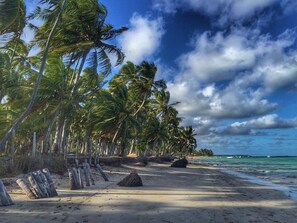 Sun-loungers, beach towels