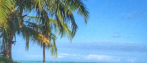 Camastros y toallas de playa