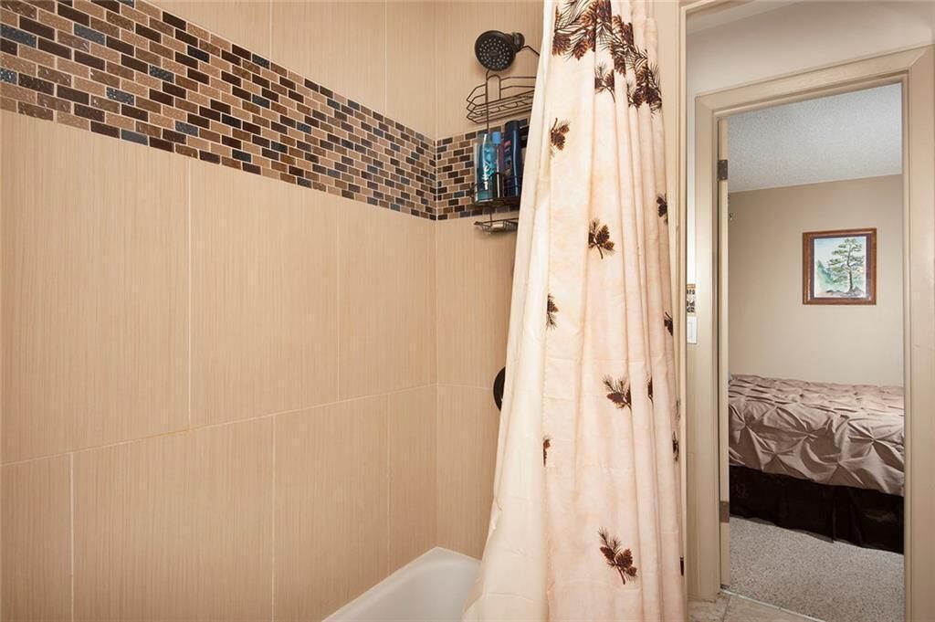 Bañera con ducha, secador de pelo, toallas