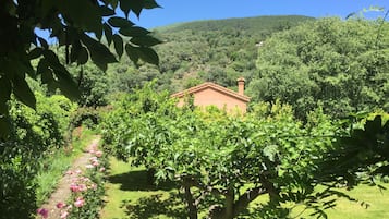 Jardines del alojamiento