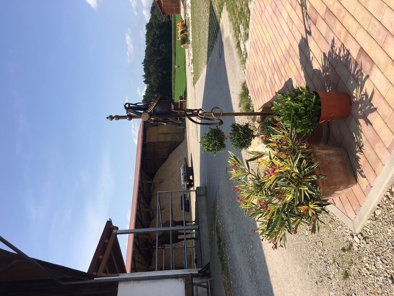 A paved area with potted plants and a metal structure.