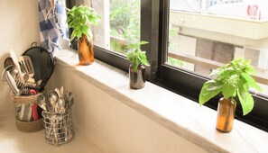 A kitchen window sill with potted plants, a metal utensil holder, and a window with a view of buildings.