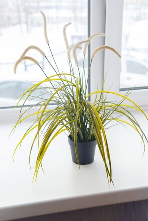 1 chambre, décoration personnalisée, ameublement personnalisé