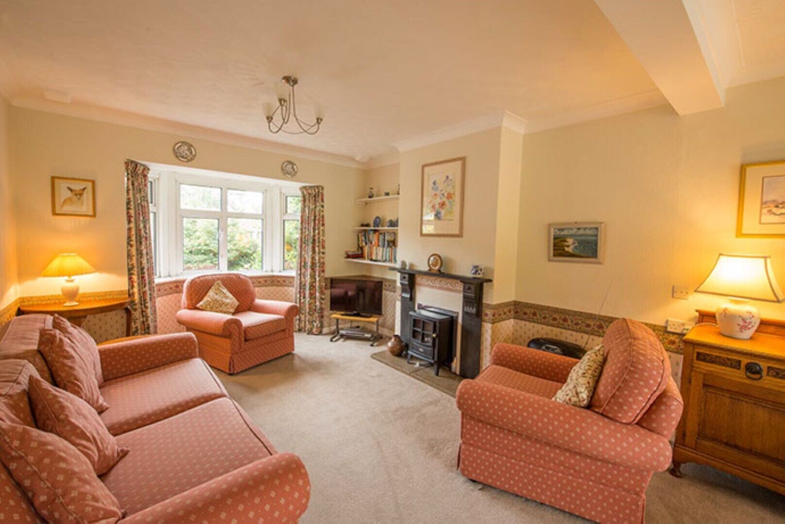TV, fireplace, DVD player, books