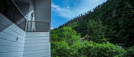 A modern building with a balcony overlooking a forested hillside.