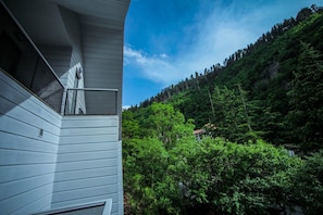Double Room, Balcony | View from room