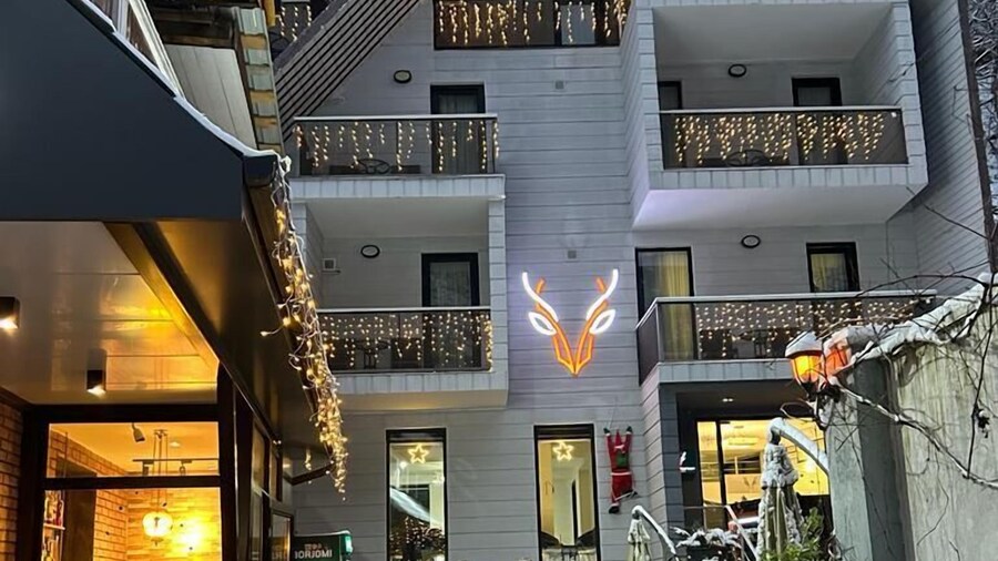 Borjomi Underwood Hotel